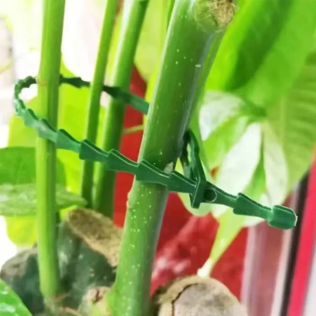 Fascette stringicavo in nylon regolabili con chiusura a zip, riutilizzabili, per giardino, piante, viti, alberi e arbusti, come supporto e fissaggio