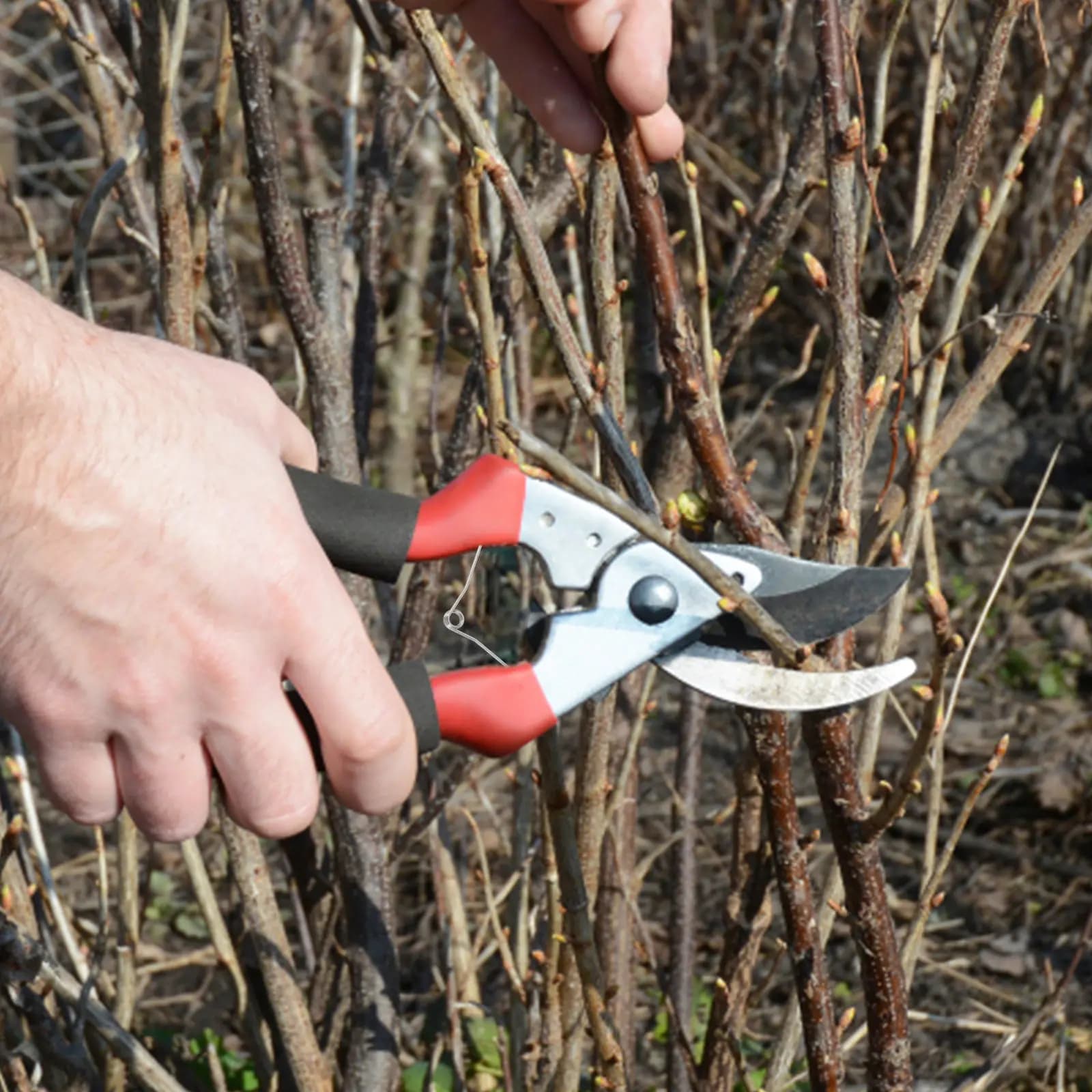 20 Pezzi Molle di Ricambio in Acciaio Inossidabile per Forbici da Potatura, Molle Curve Sinistra e Destra per Cesoie da Giardino, Accessori per Forbici da Potatura Manuali