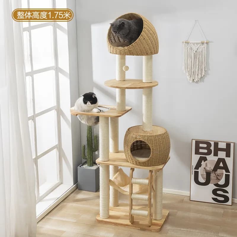 Lettiera con struttura da arrampicata per gatti Resistente ai graffi integrata Tiragraffi stabile e durevole Giocattolo disponibile multi-gatto