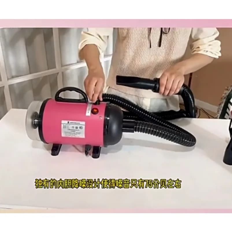 Asciugatore per animali domestici con funzione di soffiaggio e aspirazione integrata, ad alta potenza, per il bagno e l'asciugatura del pelo.