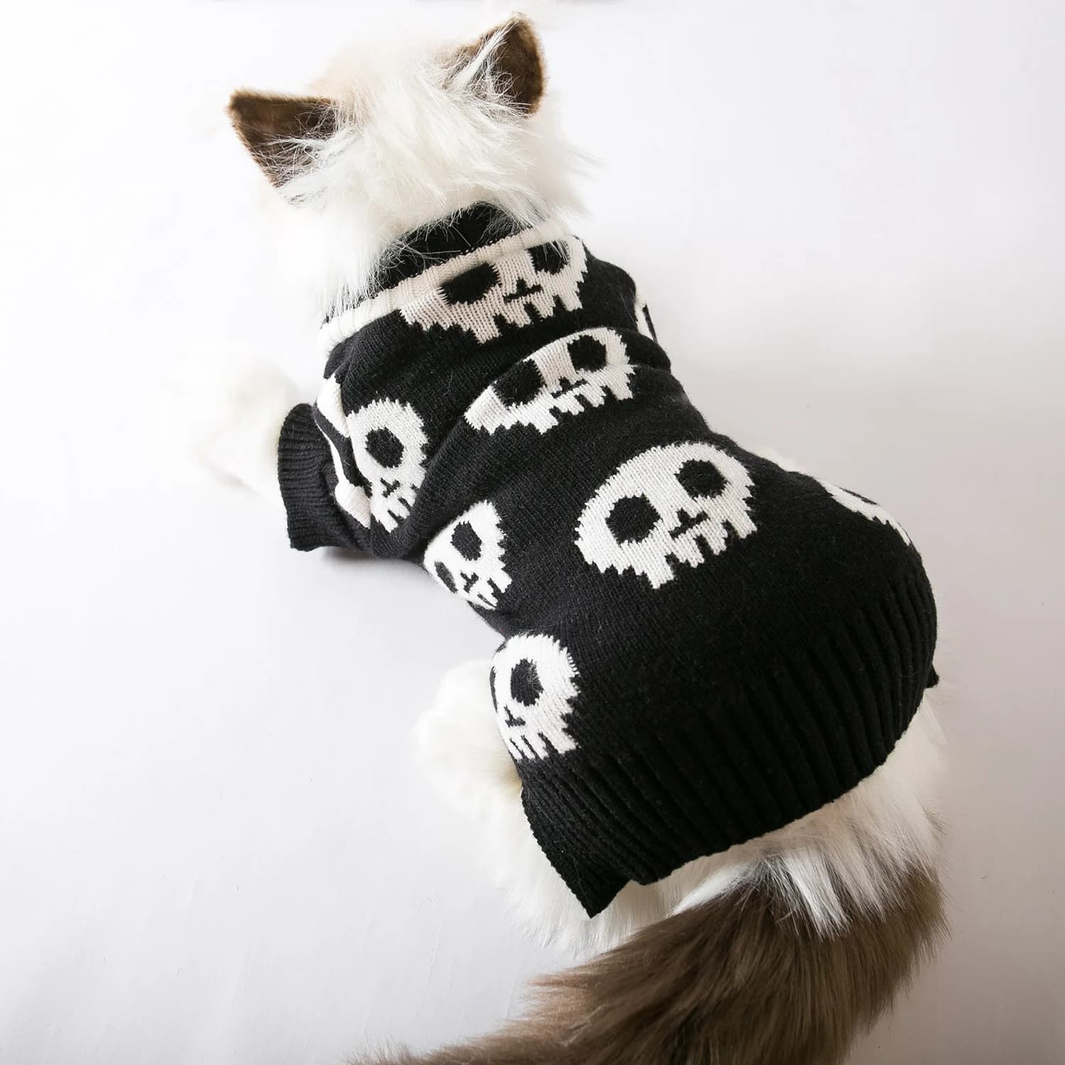 Halloween Pet Costume teschio maglione lavorato a maglia primavera e autunno calore per cani e gatti