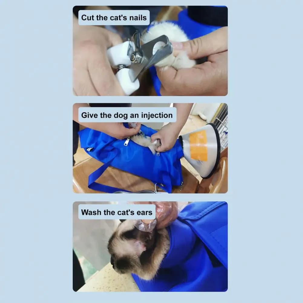 Borsa da trasporto leggera per gatti Zaino da trasporto regolabile per gatti per viaggi di animali domestici con tasca portaoggetti portatile per unghie per gatti