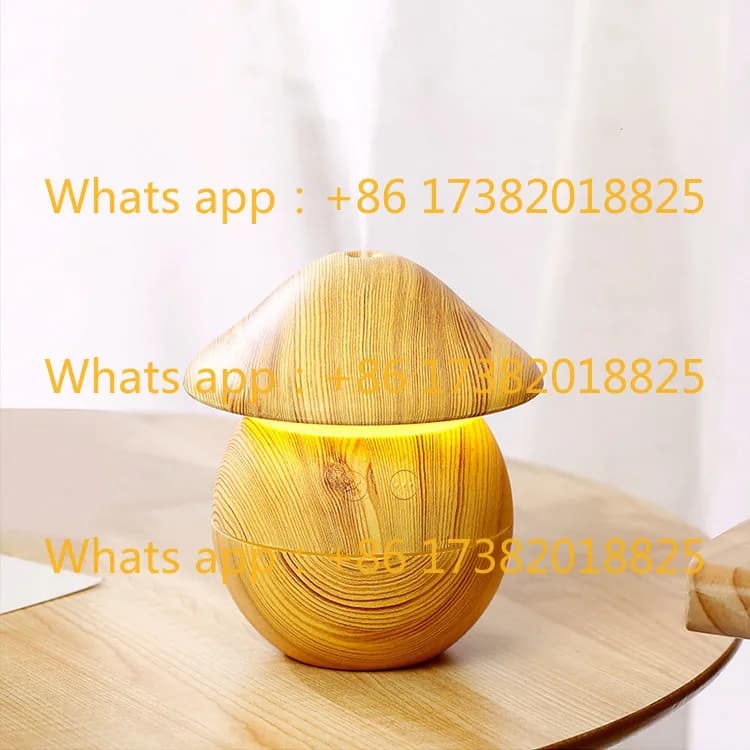 OEM Oil Aroma Diffuser USB Mini Small Wood Mushroom Air Humidifier with Lamp