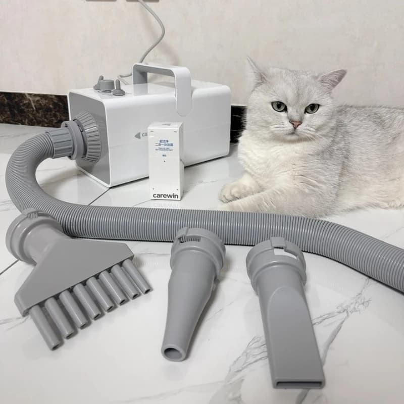 High-Power Pet Hair Dryer for Large Rough Dogs Fan Professional Pussy Dryer for Cats Fast Toiletry Dryers for Household Anion