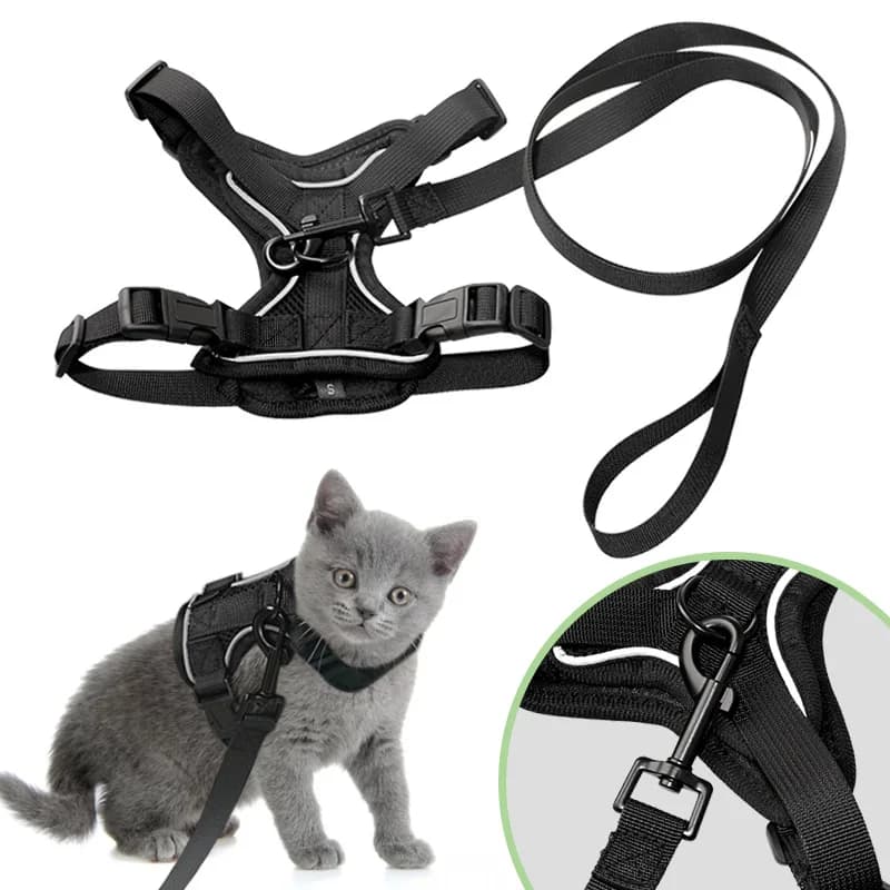 Set di trasportini pettorali traspiranti per trazione da viaggio per gatti Striscia riflettente per la notte Protezione in schiuma toracica Retrattile regolabile