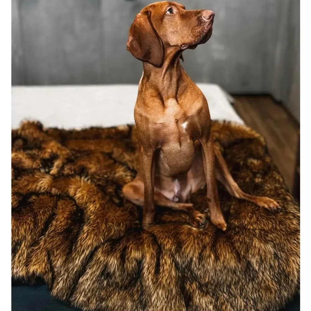 Coperta Impermeabile per Cani in Finta Pelliccia, Tappeto per Divano e Auto, Lavabile e Resistente, Marrone 80x60