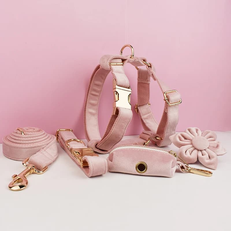 Set di collare e guinzaglio per cani in velluto rosa pallido, con targhetta incisa personalizzata, accessori per animali domestici, guinzaglio per cani in velluto36