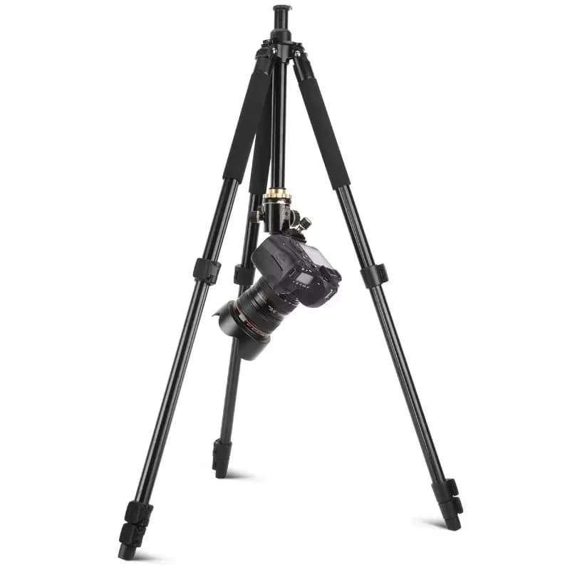 diPopolare diTreppiede SLR aluminum alloy Q338, tripod for WC, tripod with thermometer support