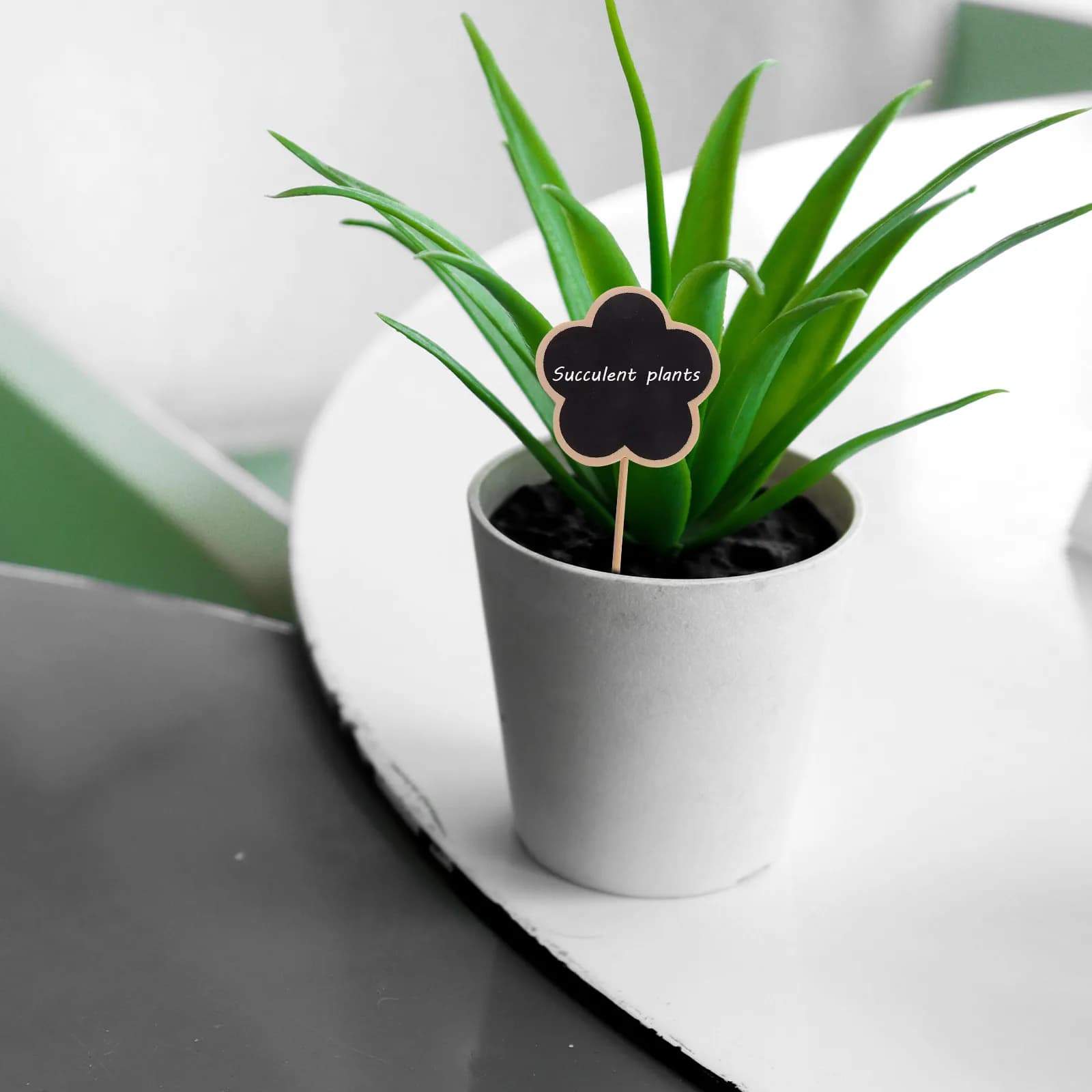 20Pcs Wooden Plant Labels Sturdy Garden Markers Plant Identification Boards for Flower Vegetable Pot Succulent Garden Name