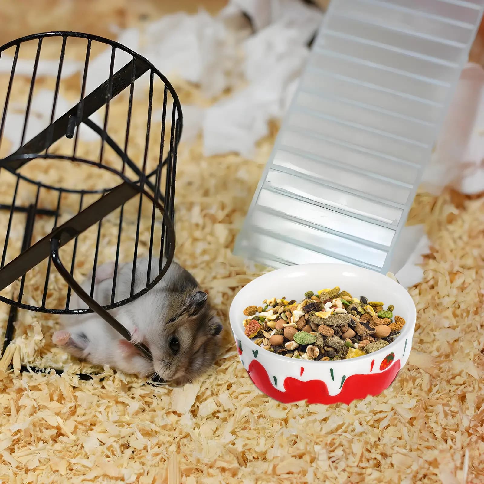 Ceramic Small Pet Food Bowl Hamster Guinea Pig Rabbit Chinchilla Hedgehog Feeder Anti Spill Design Cute Decorative Easy Clean