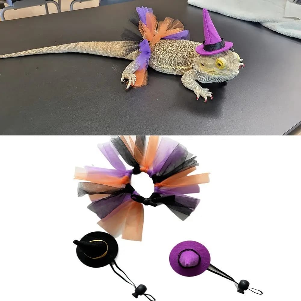 Divertente Costume di Halloween per Mini Animali Domestici, Comodo e Morbido Set di Vestiti da Strega per Lucertole con Gonna Tutu Decorativa