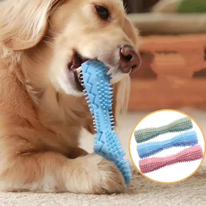 Giocattolo da masticare per cani, resistente ai morsi, divertente, a prova di perdite, per la pulizia dei denti e come dispenser di cibo