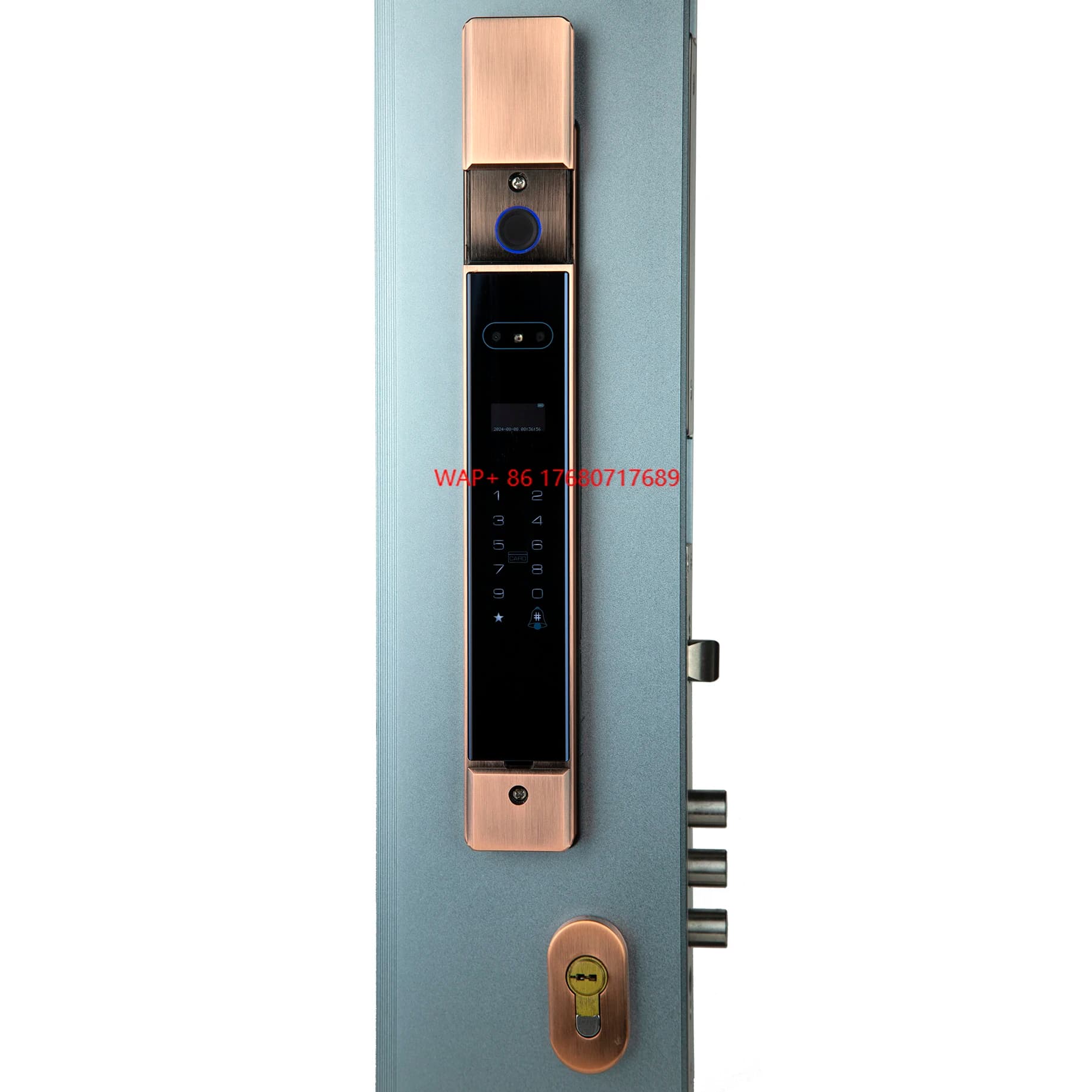 Sblocca la vena del palmo dell'impronta digitale completamente automatica con protezione solare impermeabile Smart Lock per la tecnologia di riconoscimento facciale del cancello in acciaio
