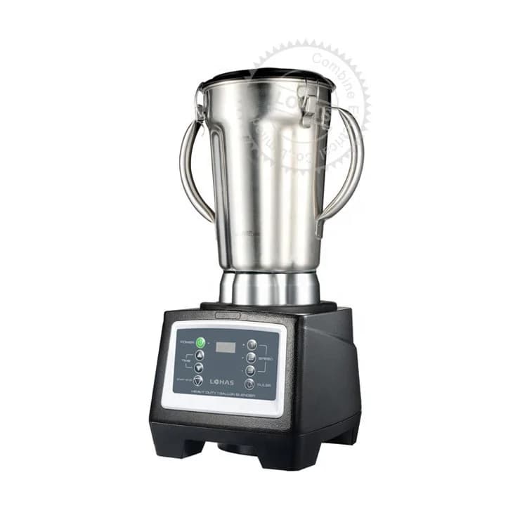 Succo frullatore commerciale per carichi pesanti da 3000 Watt 4 litri