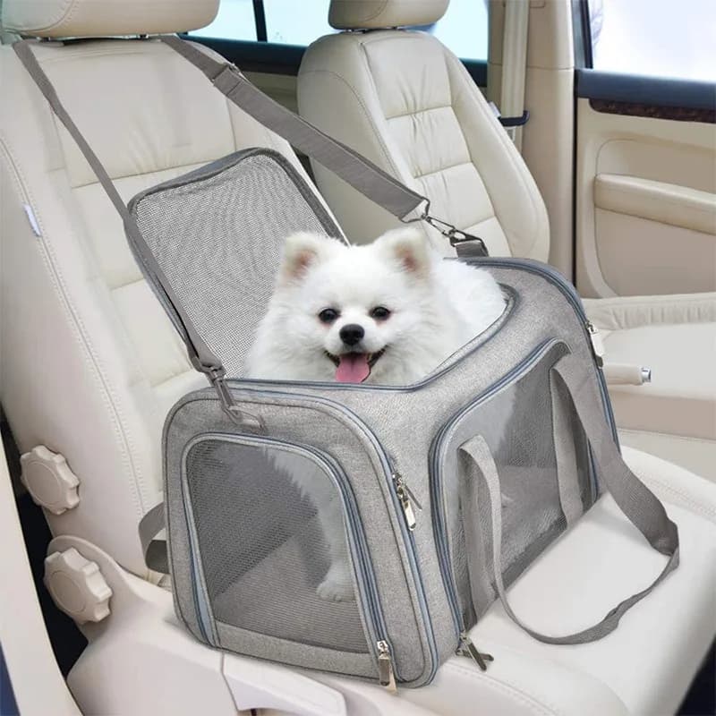 Trasportino per Animali Domestici Approvato dalle Compagnie Aeree per Gatti e Cani – Borsa Pieghevole per Cani con Tappetino Morbido e Finestre in Rete Traspirante, Trasportino da Viaggio per Gatti