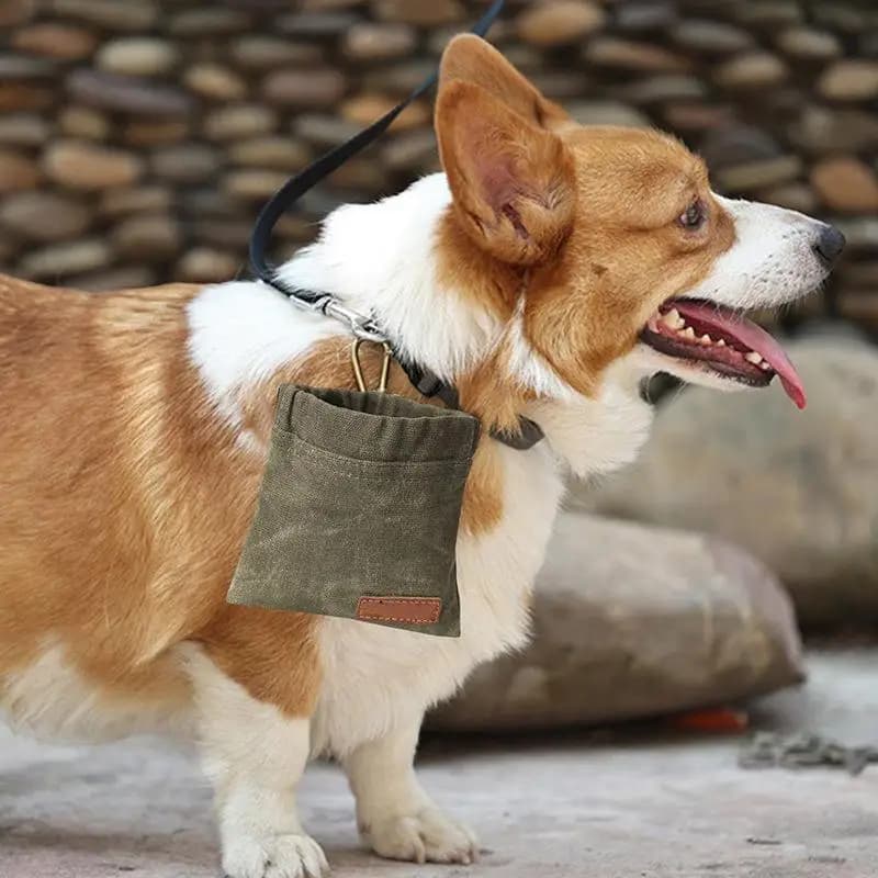 Borsa per Snack per Addestramento Cani, Contenitore Portatile per Cibo da Viaggio, Dispenser per Premi, Accessorio Durevole per Animali Domestici