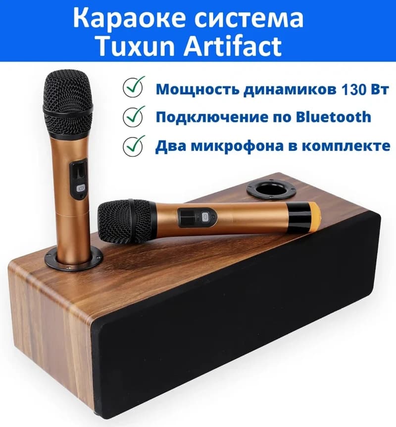 Sistema di microfono Wireless professionale per Karaoke Set Audio microfono portatile UHF altoparlante Blueteeth per Party box Karaoke Church Meeting