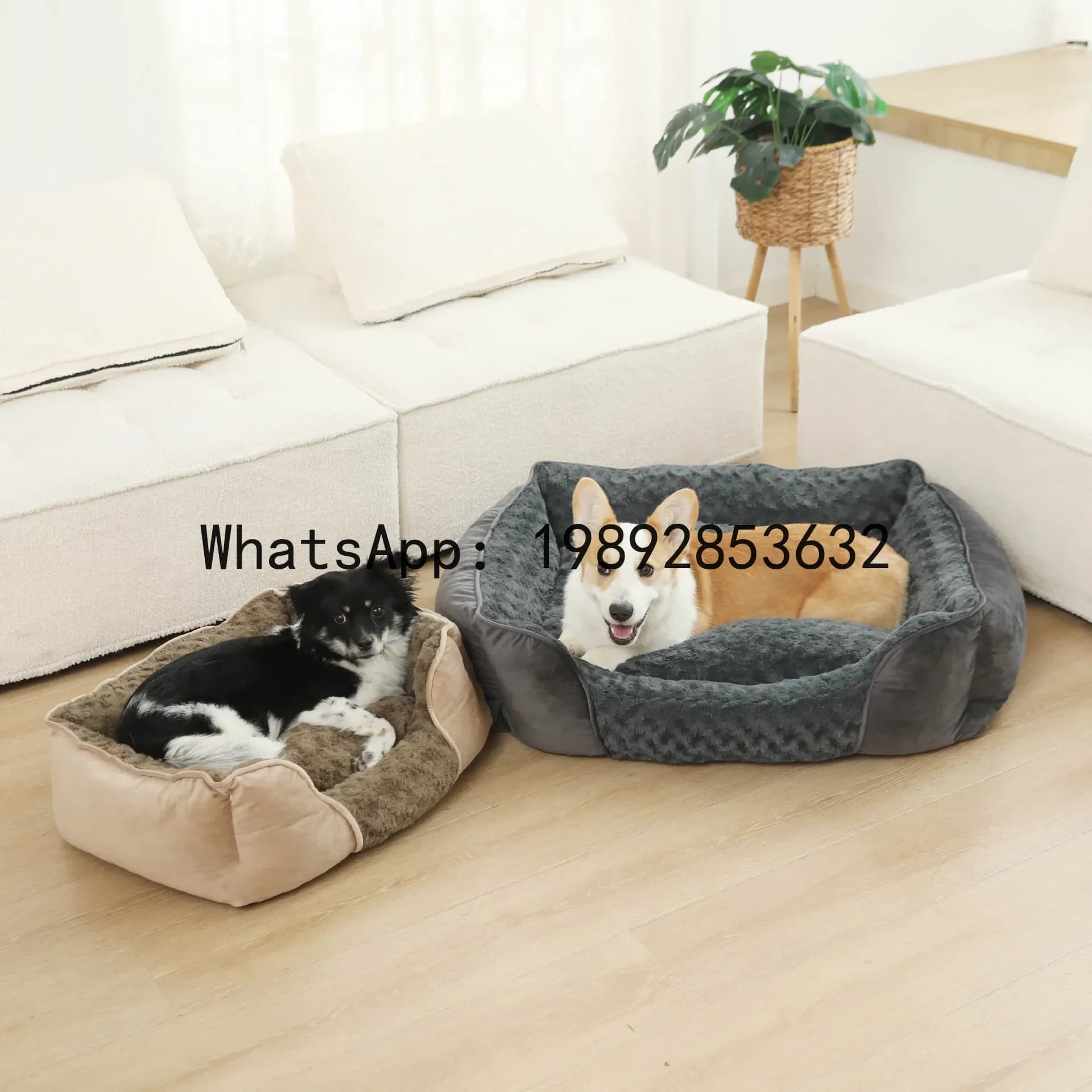 Cuccia per gatti X, cuccia semi-chiusa per cani, accessori per animali domestici per tutte le stagioni