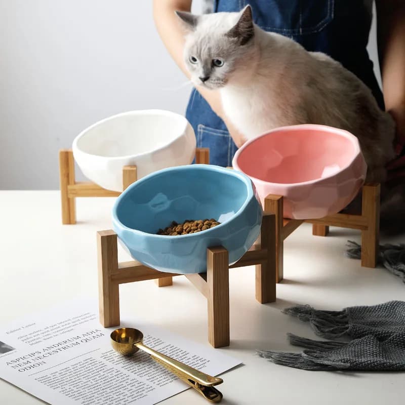 Diamond Ceramics Pet Bowls Dog Bowl Oblique Pet Feeder Large Capacity High Foot Oblique Bowl Protection Spine Cat Food Bowl 11