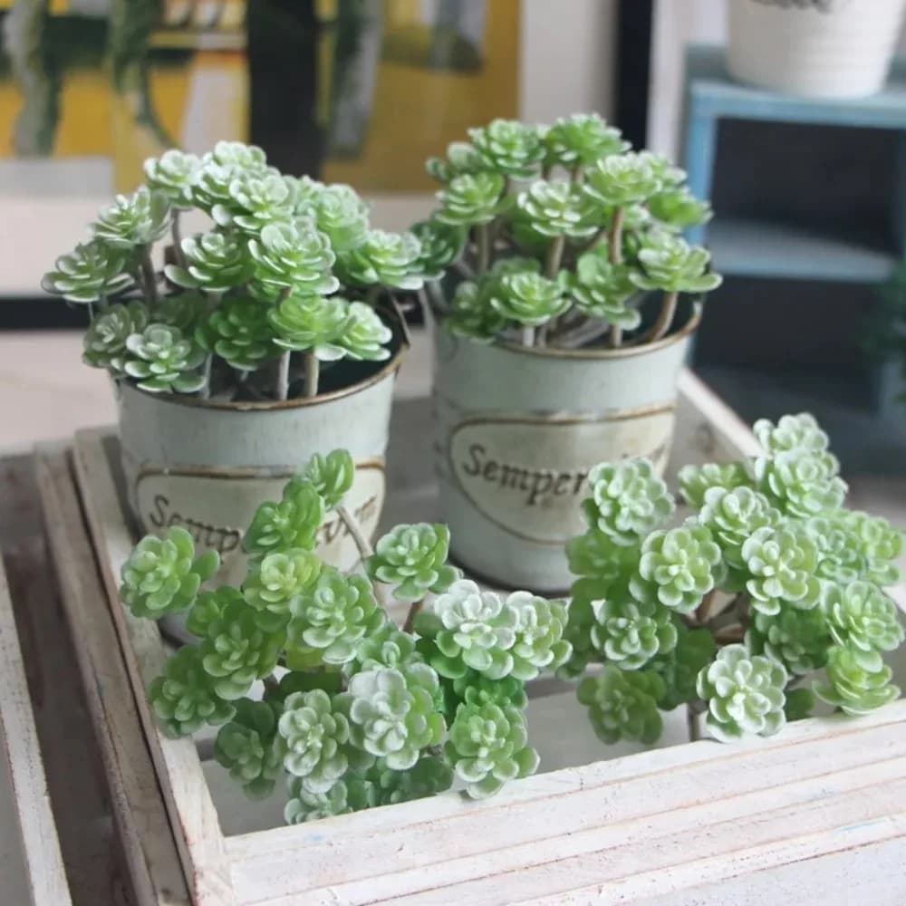 24 teste Mini pianta di cactus artificiale Real Touch Pianta succulenta artificiale in plastica Realistica decorazione micro paesaggio