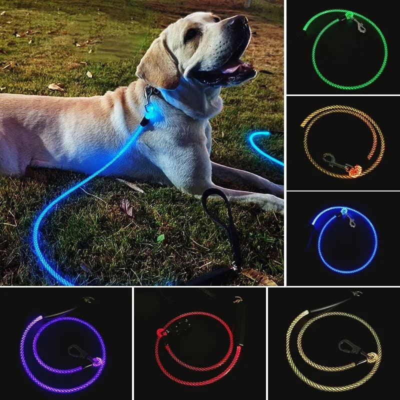 Camminare il cane di notte con un guinzaglio luminoso per animali domestici, impedisce la rottura libera del guinzaglio luminoso