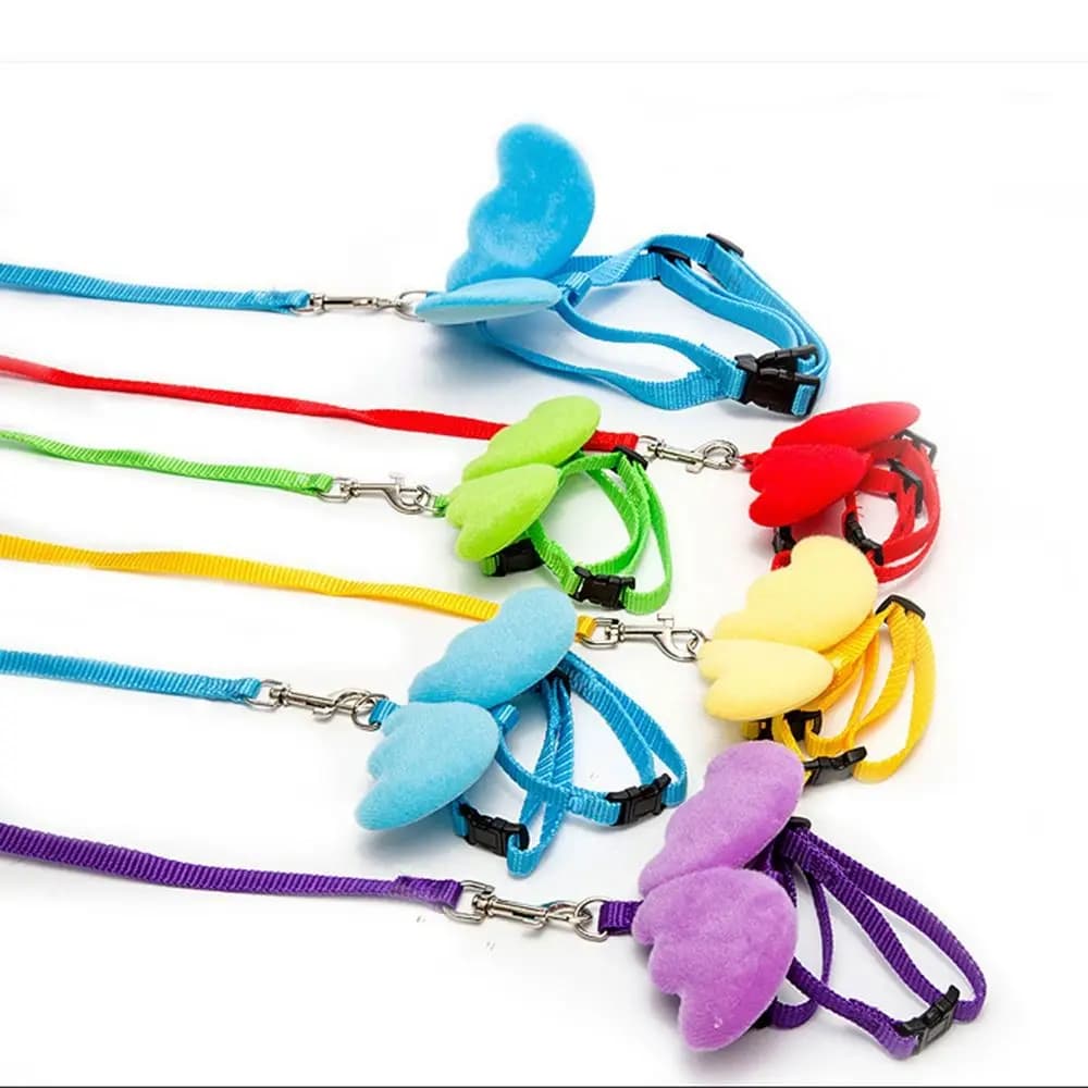 Accessori per Animali Domestici: Set Guinzaglio e Collare Regolabile per Cuccioli e Gatti, Guinzaglio per Cani, Corda e Pettorina per Passeggiate all'Aperto