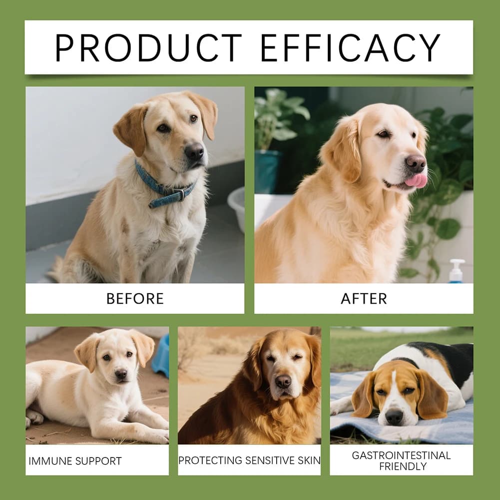 Taurine Powder for Cani for Heart Health, Formula Delicate for Sensitive Stomaci. Watch out for your pet