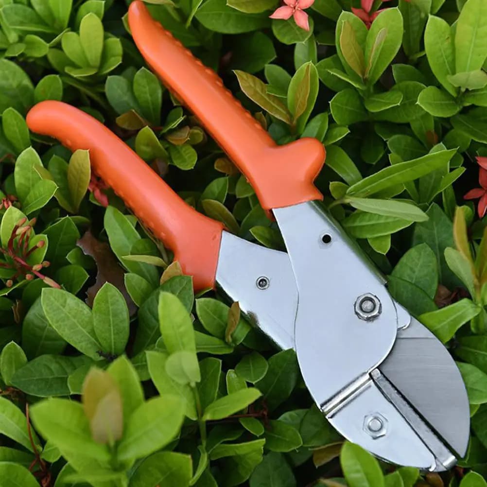 Forbici da Potatura Arancioni Professionali con Fibbia di Sicurezza e Impugnatura Ergonomica per Rami in Plastica e Tessuto