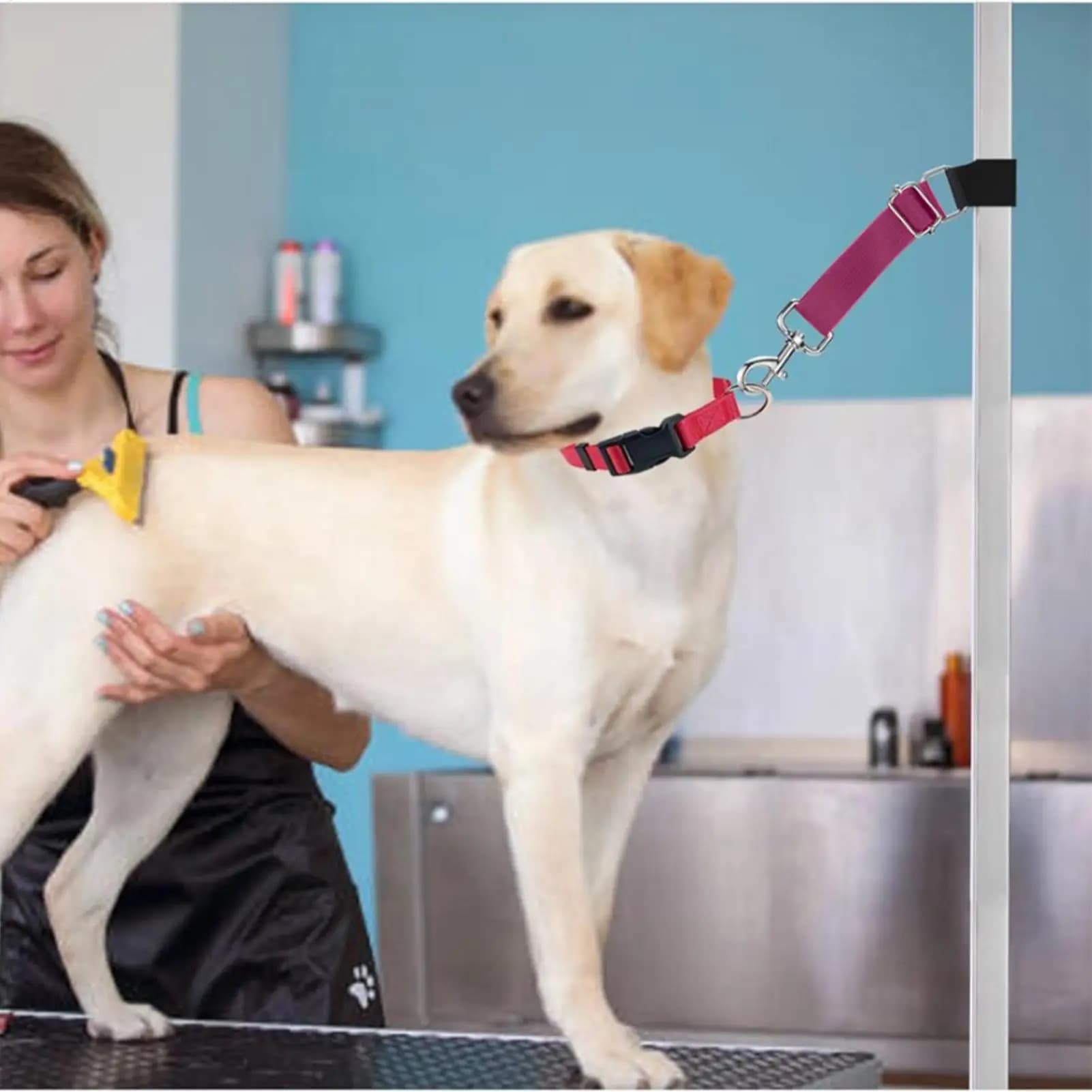 Estensione del braccio per toelettatura del cane 2 pezzi Supporto per braccio regolabile per toelettatura del cane Fissaggio dell'imbracatura Estensione di ritenuta per il bagno degli animali domestici per unghie
