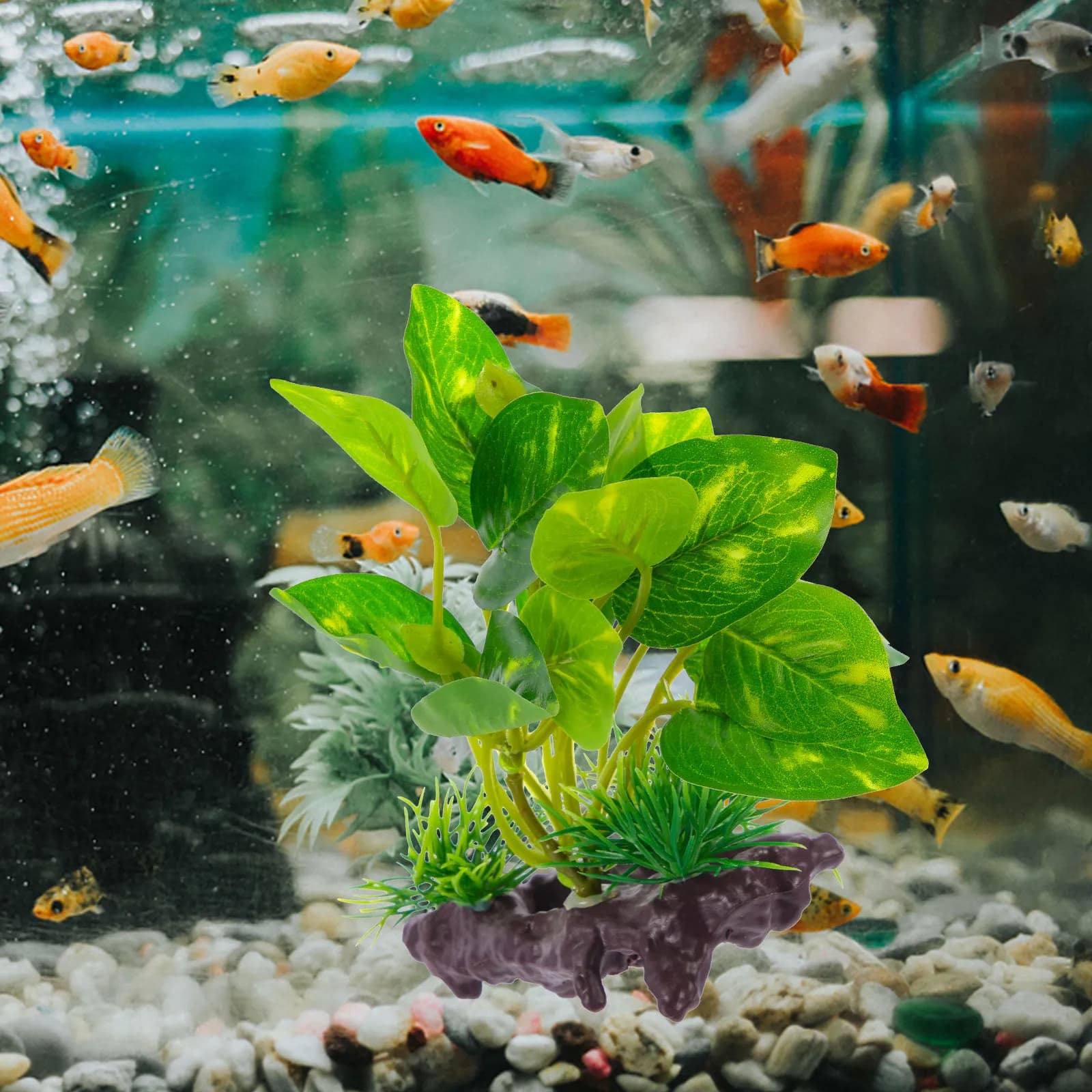 Artificial Plants for Aquarium, Natural Wood, Pisces Plant Decorations, Green Realistic Water Plants, Hide them, Natural Landscape for Aquarium