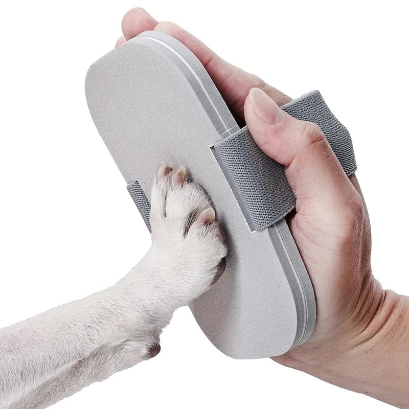Lima per unghie per cani, raschietto per unghie staccabile, strumento per la cura delle zampe di cani e gatti, accessori per la toelettatura dei cani