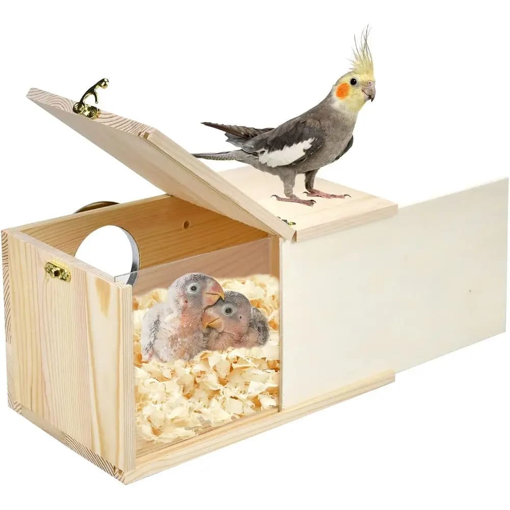 Nido per Uccelli in Pino Naturale, Trasparente in Acrilico, con Pannello in Legno Rimovibile per Agaporni, Calopsittici, Pappagalli e Conure