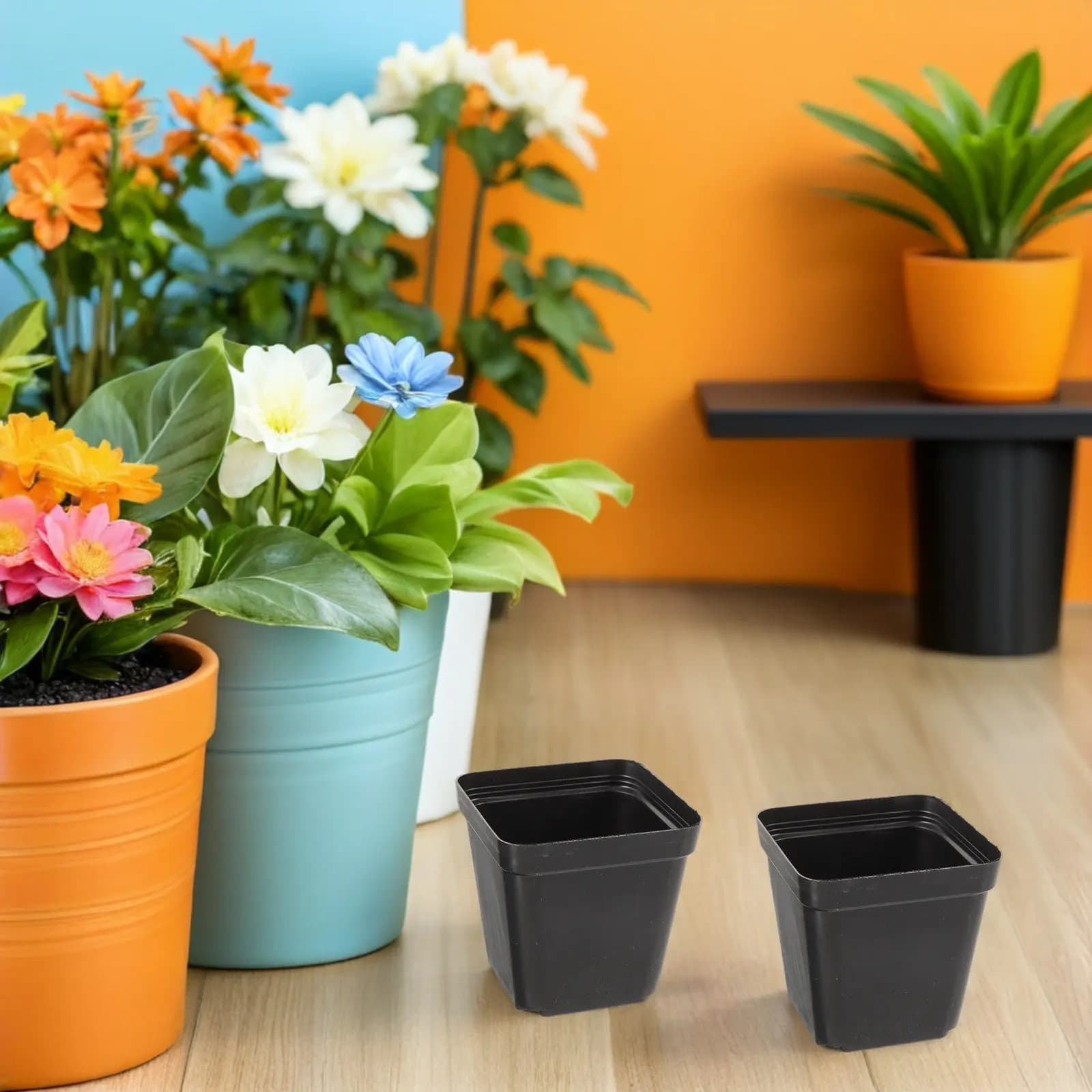100Pcs Black Plastic Square Nursery Pots with Drainage Holes for Seed Germination Indoor Succulent Flower Planter Garden