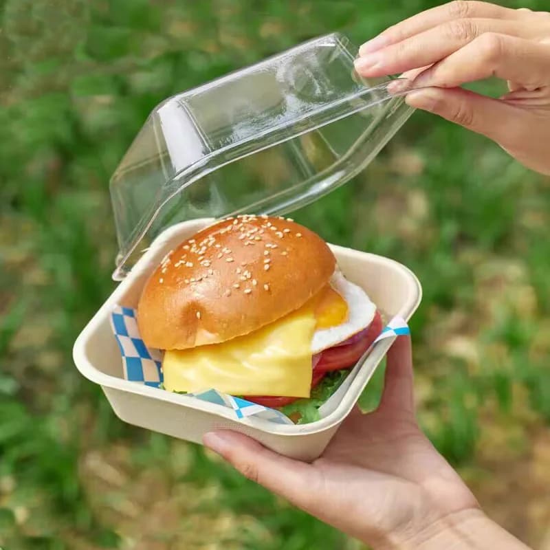 Scatola per hamburger usa e getta da 50 pezzi Preparazione dei pasti alimentari Conservazione del pranzo Torta di frutta Toast Sandwich Confezione Contenitore Scatole Bento