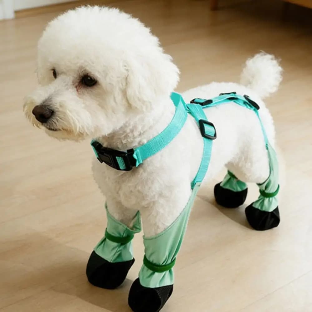 Waterproof Dog Rain Boots Adjustable Breathable Pets Paws Protector Dirty-Proof Auxiliary Strap Anti-Slip Dog Shoes Hiking