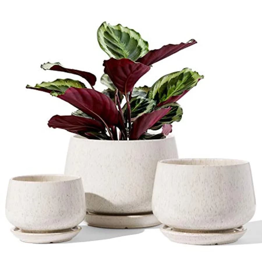 Vasi per piante, 4,1+5,1+6,5 pollici, set di 3, vasi in ceramica con foro di drenaggio e sottovaso, vaso da fiori per interni con rete filtrante, G