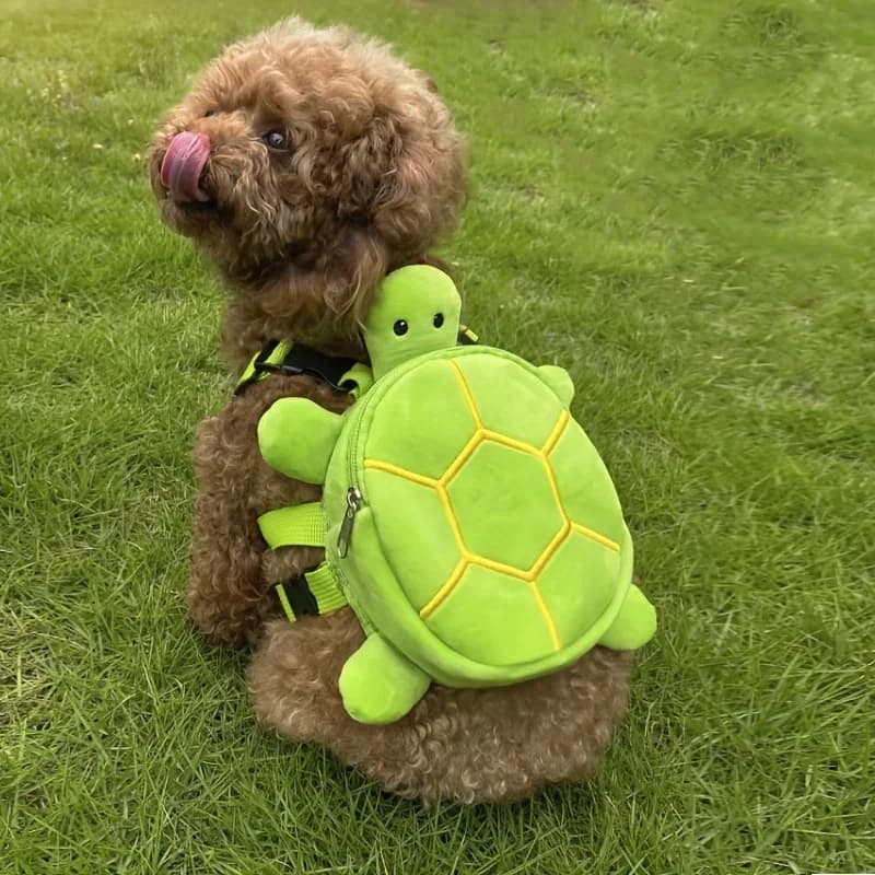 1× Cute Pet Turtle Backpack Adjustable Chest Harness with Leash Holder for Small Medium Dogs Cats Treats Storage Outdoor Walking