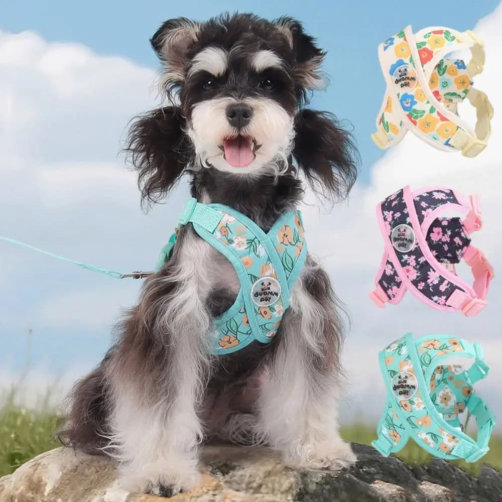 Pettorina per Cani a Forma di X Regolabile, Traspirante e Leggera, con Cinghie Anti-Fuga per Cuccioli e Gatti