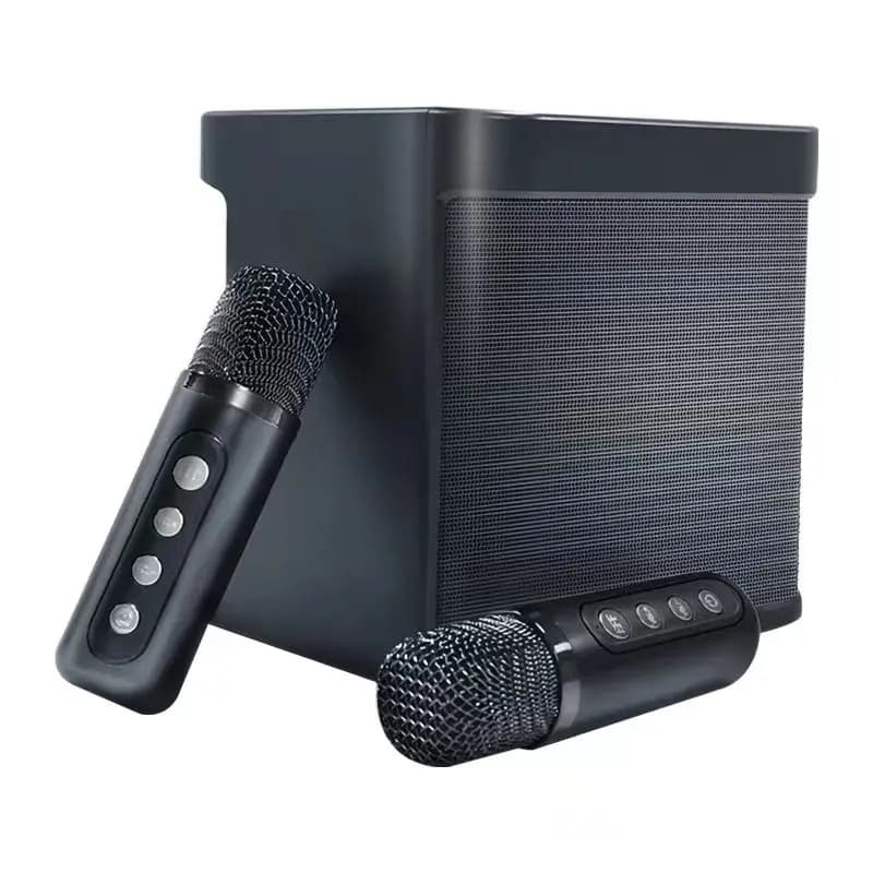 Macchina per karaoke per adulti - Altoparlante per karaoke Bluetooth con 2 microfoni wireless, altoparlante per sistema PA Supporta scheda TF/USB/AUX