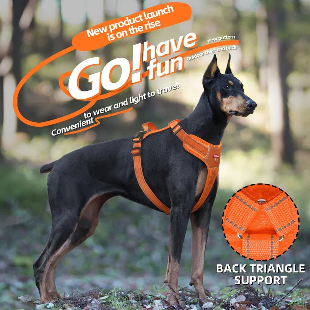 Popolare imbracatura per cani in rete ultra comoda, gilet riflettente per cani di piccola e grande per passeggiate estive