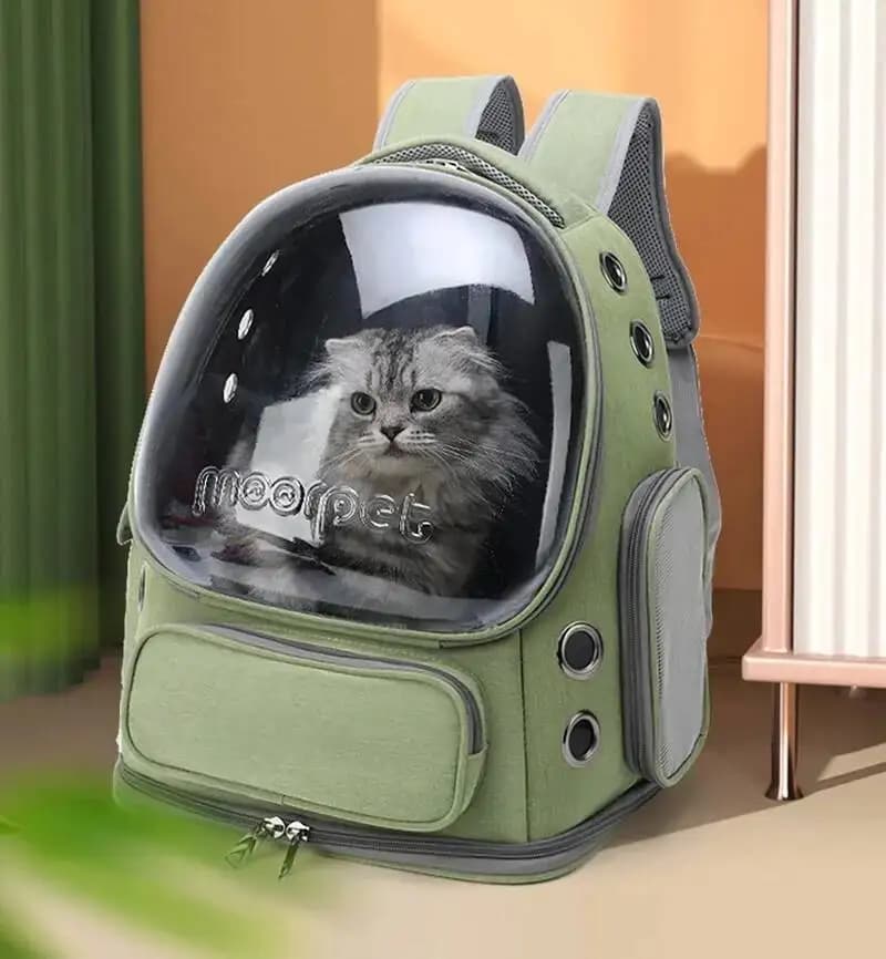 Carrier Outdoor Travel Backpack For Cats Small Dogs Breathable Cat Carrying Bag Transparent Portable Pet Travel Bag