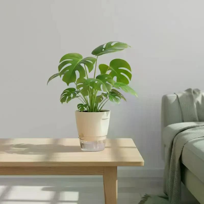 Vasi autoirriganti da interno, moderni fioriere in plastica per orchidee, piante grasse, erbe aromatiche, decorazioni per la casa e l'ufficio