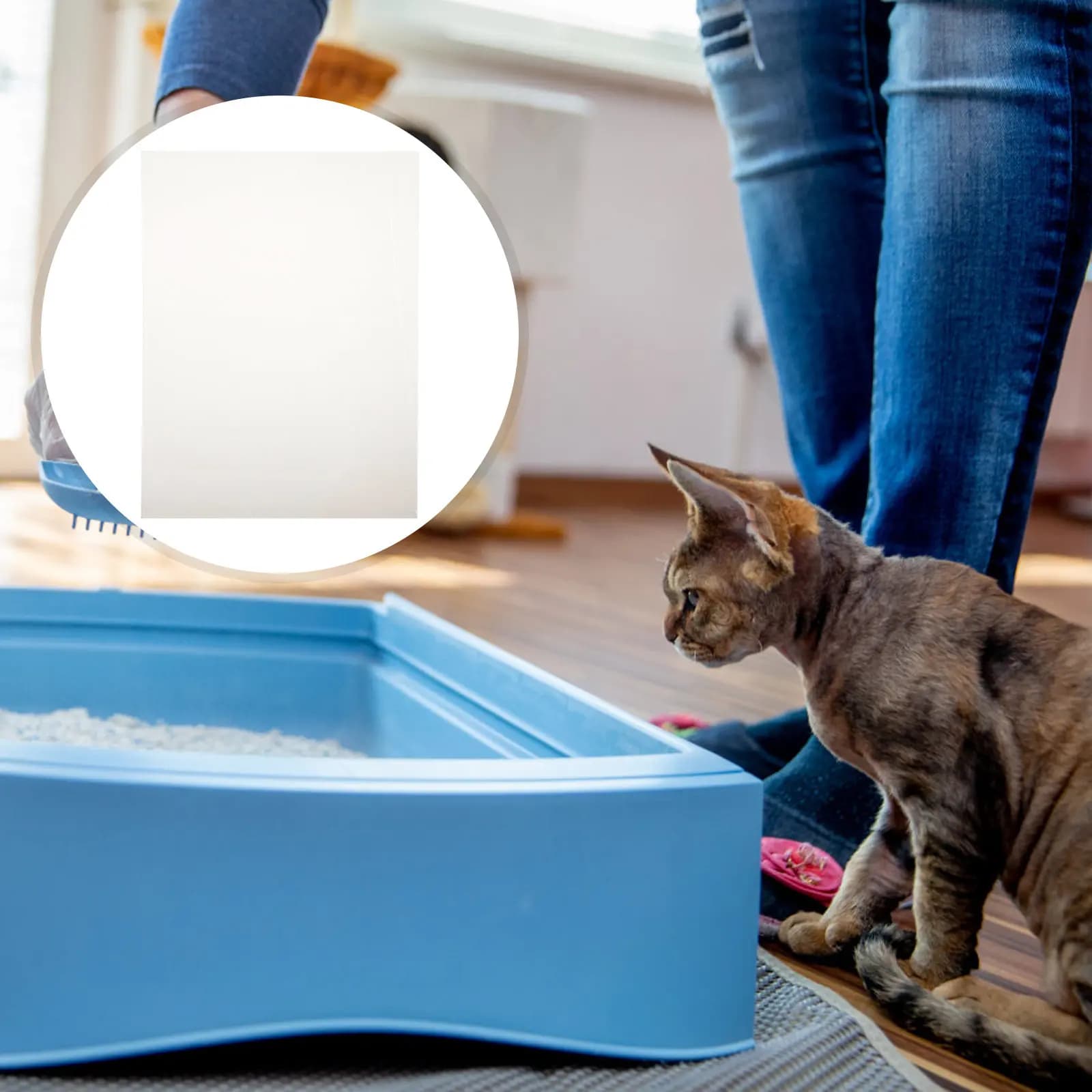 Set di 3 Recinti Regolabili in Acrilico per Lettiera Gatti, con Protezione Anti-Schizzi e Design Ventilato sul Top, per Gatti di Piccola e Media Taglia