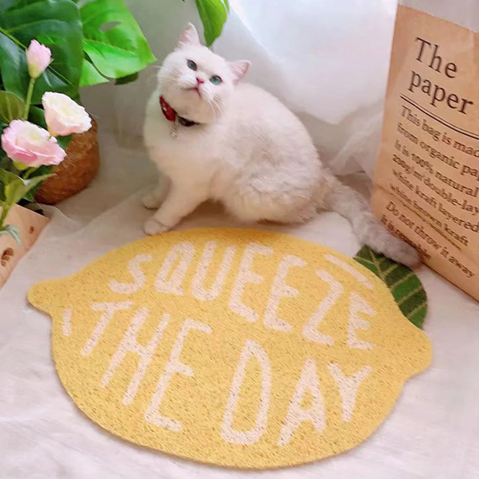Tappetino per lettiera per gatti Forma di frutta Resistenza allo scivolamento Flessibile Facile da pulire Tovaglietta per la cattura di cibo per animali domestici Tappetino per pattugliare la lettiera per gatti