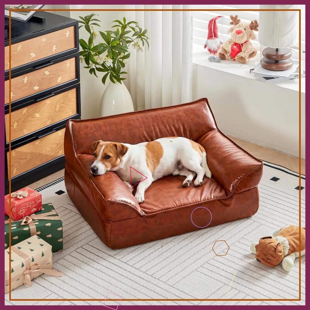 Divano letto moderno in pelle per cani di taglia piccola e media (fino a 22 kg), poltrona rialzata per gatti, mobile per animali domestici da interno
