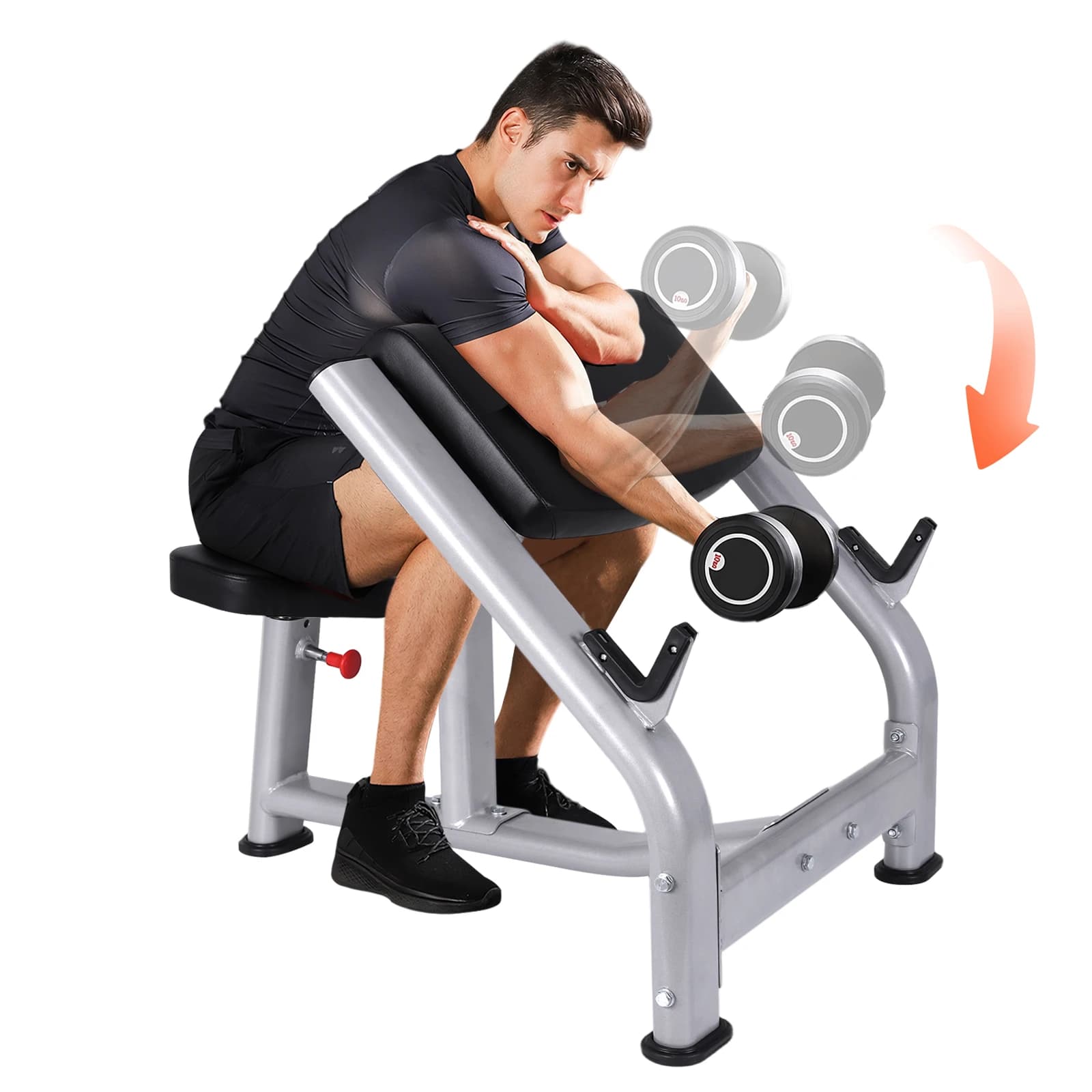 Preacher Curl bench for Bicipiti, Insulated station for Libra and Manubri, for Strength Training in Home Gym