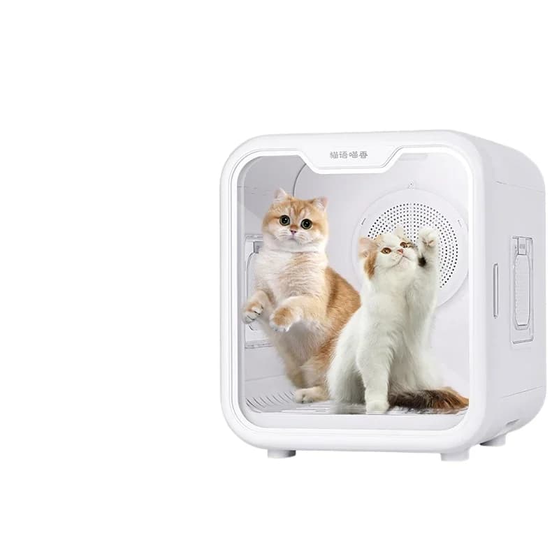 Scatola per asciugare gli animali domestici Asciugacapelli automatico per la casa intelligente Acqua Pet per gatti Per animali domestici gatti