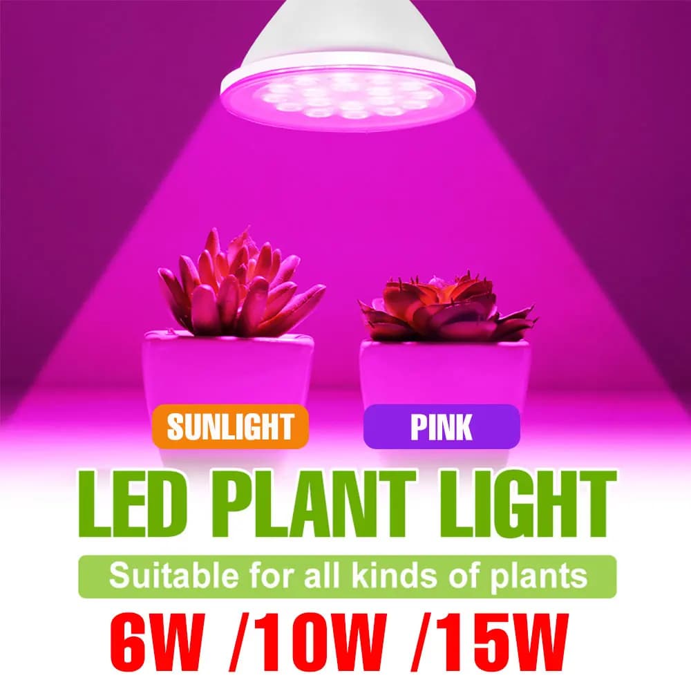 E27/E26 LED Complete Spectro Coltiva La Lampadina per Interni Idroponica Semi di Fiori Verdure Piante Succulente Lamp per Coltivazione 5W 10W 15W