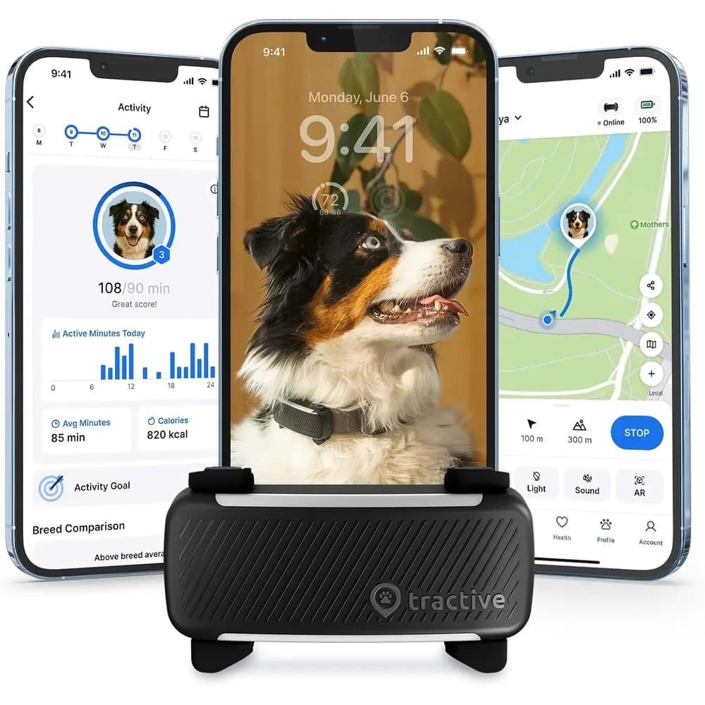 Localizzatore GPS per Animali Domestici con Recinzione Virtuale e Monitoraggio della Salute per Frequenza Cardiaca, Respirazione e Latrato | Collare per cani nero
