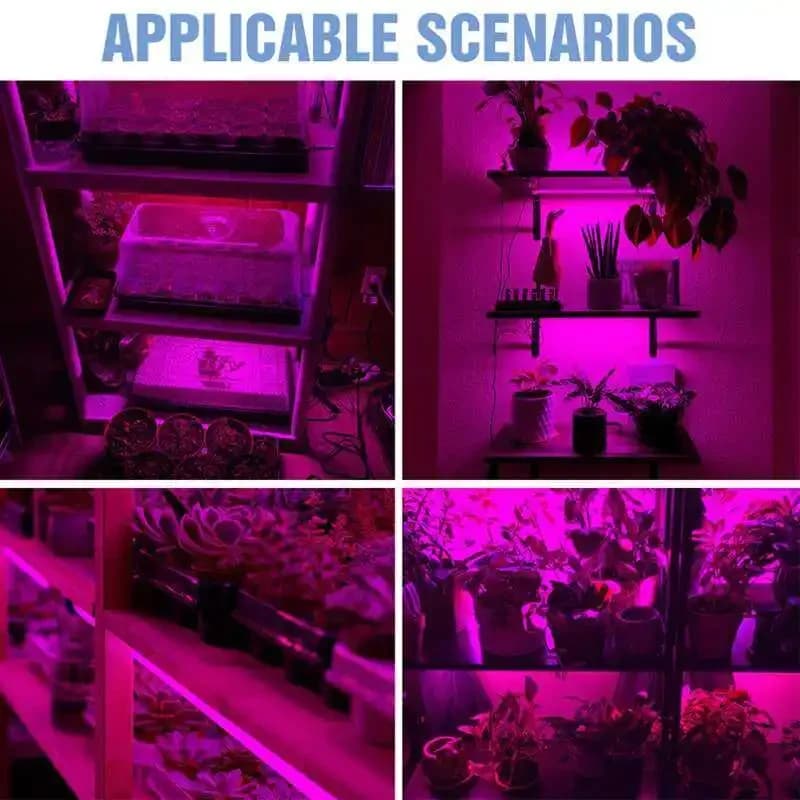 Pannello solare da 20 W Spettro completo LED Coltiva la striscia luminosa Batteria ricaricabile LED Phyto Lampade per piante Serra Coltivazione idroponica